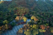 Путешествие по Южной Корее: два мегаполиса и курортные острова Чеджудо и Удо