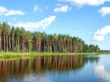 Орловское Полесье: по следам зубров, вятичей и героев Тургенева
