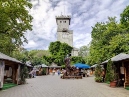 Все краски Сочи