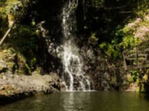 Неизведанная горная Аджария