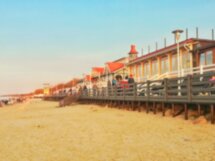 Куршская коса — путешествие в мир прекрасного