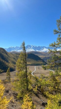 Алтайские тропы: красота природы с комфортом