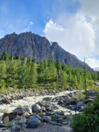 Алтайские тропы: красота природы с комфортом
