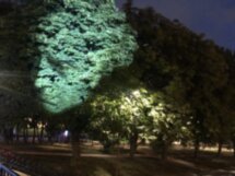 Вечерняя экскурсия по Калининграду с дегустацией прусского напитка