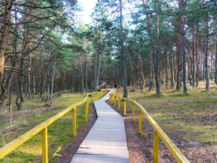 Куршская коса и Зеленоградск в вашем темпе