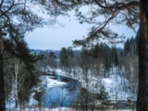 Из Петрозаводска — в Медвежьегорск и окрестности!