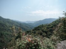 Краснополянский крафт: высокогорная пивоварня