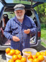 В Абхазию на майские праздники: водопады, форель, горное озеро и варенье из инжира