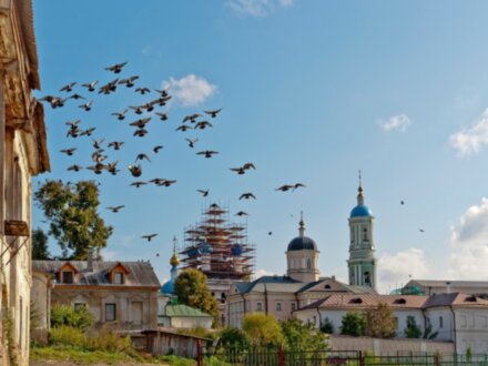 Оптина пустынь и Шамордино: культовые святыни Калужской области