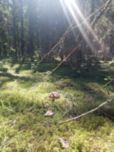 Путешествие по живописным окрестностям Петрозаводска