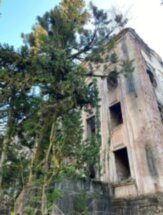Абхазский тур: горы, озера, заброшки и душевные застолья