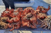 Новый год на берегу Охотского моря: шагаем в 2024 первыми