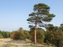 Северодвинск и остров Ягры