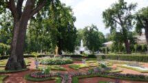 В Петергоф на метеоре: экскурсия по Нижнему парку, Екатерининскому корпусу и гротам