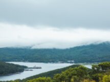 Морские деликатесы острова Русский