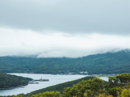Морские деликатесы острова Русский