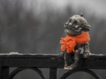 Зимние сказки Калининграда