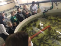 Гастро-экскурсия из Тюмени на Акваферму