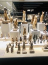 Шарм-эль-Шейх: Исторический музей и Старый город с египтологом