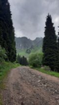Активные выходные в горах: подъём на плато Мынжылкы
