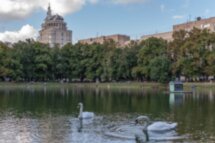 Групповая прогулка по московским местам «Мастера и Маргариты»