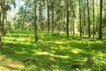 Нескучное путешествие на Голубые озера из Минска