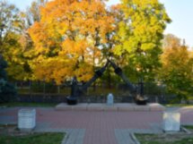 Герои города воинской славы
