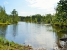 «Сестрорецкое болото»: эко-треккинг и фотосессия