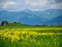 Уймонская долина и гора Белуха
