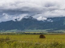 Уймонская долина и гора Белуха