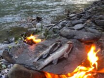 Два дня в Чечне: из Грозного в мир гор, лесов, башен и лошадей