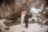 Медовые водопады и Аликоновское ущелье + фотосессия