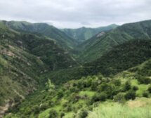 По следам грузинской диаспоры Дагестана