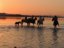 Конные прогулки по пустыне и к Красному морю