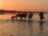 Конные прогулки по пустыне и к Красному морю