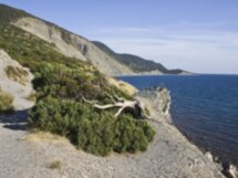 Морская прогулка по заповеднику Утриш