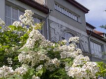 Растхоф с потомственным краеведом: история в людях