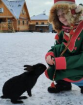В Арктику за морскими деликатесами, китами и приключениями