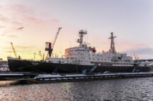 В Арктику за морскими деликатесами, китами и приключениями