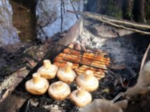 Гастро-Сочи: пикник с форелью у горной реки