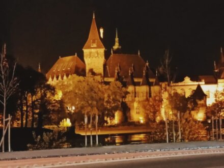 Будапешт вдоль и поперек