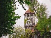 Прогулка + фотосъёмка в душевном Светлогорске — из Калининграда