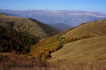 Альпийские луга и зелёные леса Дилижана