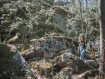 Костровые песни у залива Лехмалахти