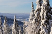 Зимняя сказка на Белом море — для активных путешественников