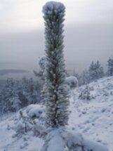 Другой Кольский: едем на Кандалакшский залив