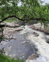 Из Мурманска — к водопадам Кольского полуострова!