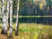 Светлояр. В поисках Китеж-града