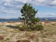 Малое море Байкала и Тажеранские степи