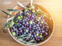Вокруг Бодрума: знакомство с деревенской культурой